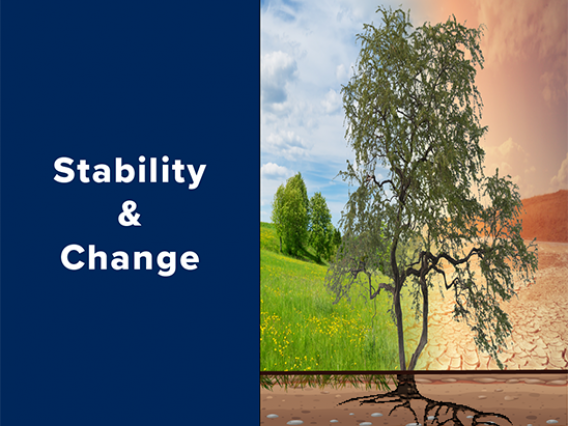 Stability and Change