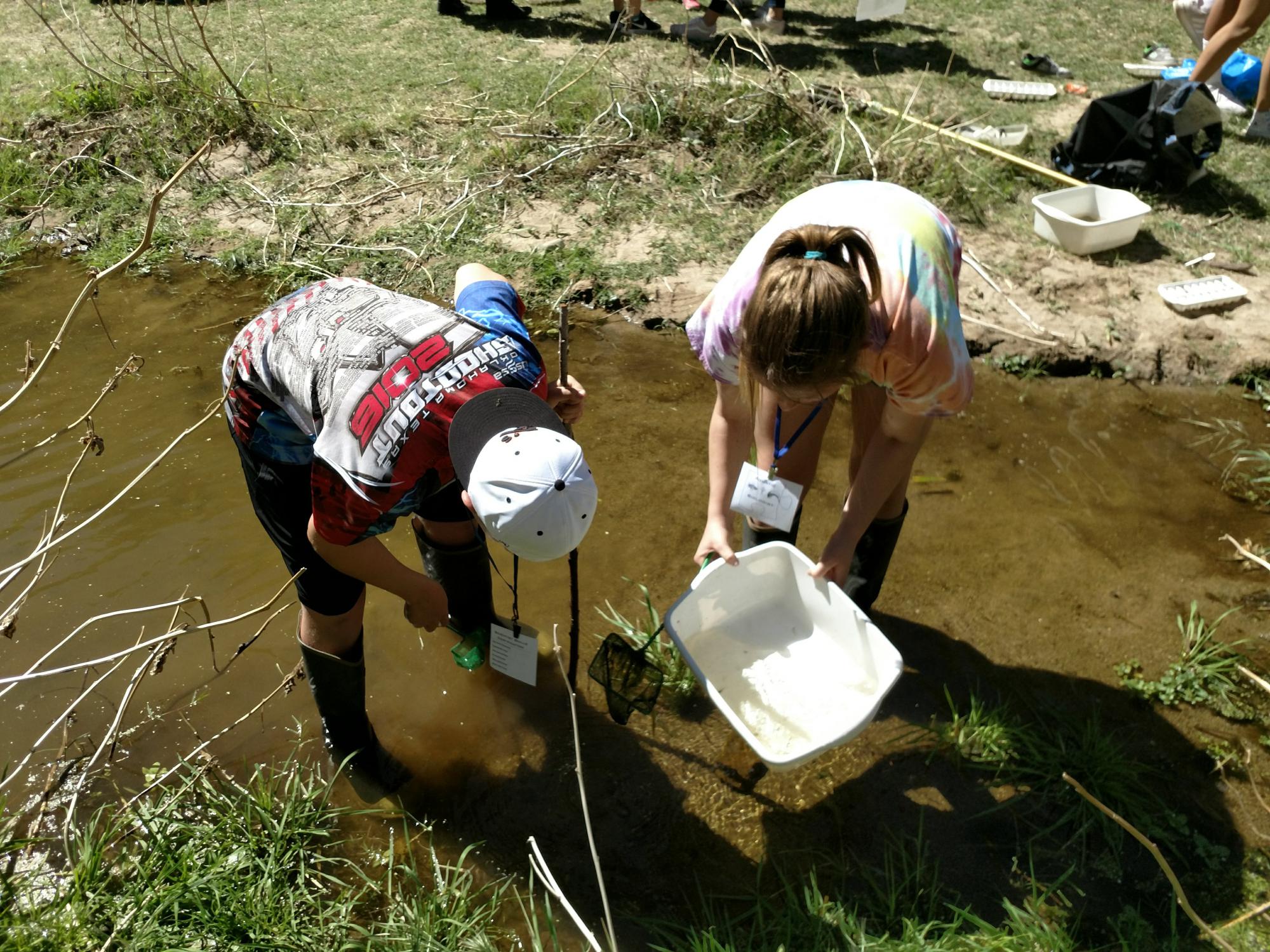 Photo of students collecting water sample with a small tub.
