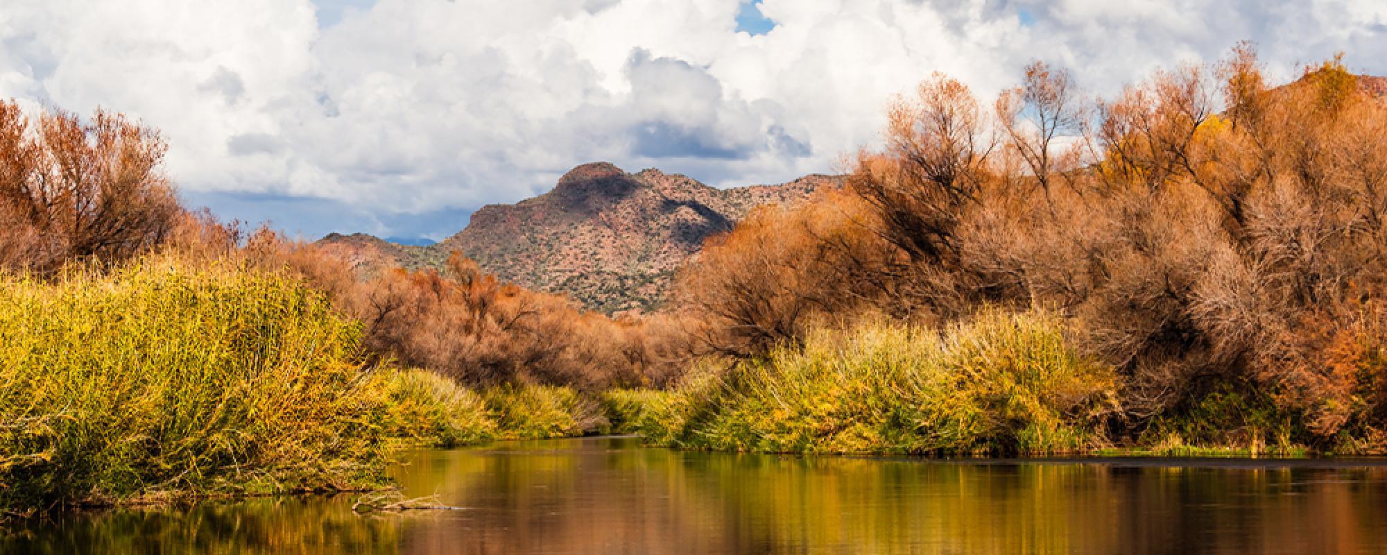 Photo of Verde River Fall