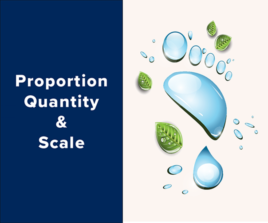 Proportion, Quantity, and Scale