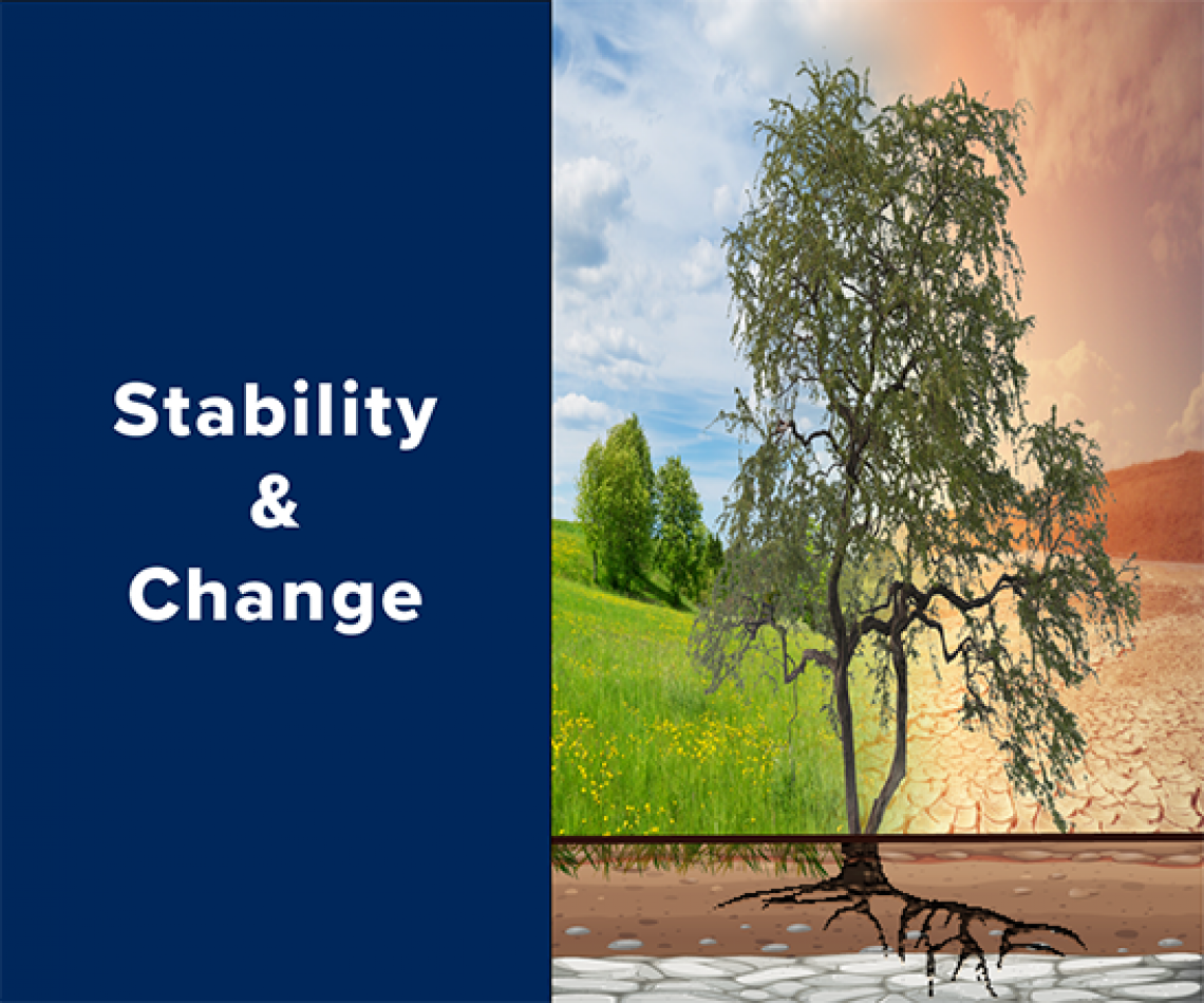 Stability and Change